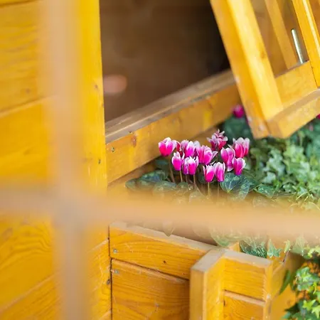 Lejlighed Gartenfewo Mit 2 Schlafzimmern Und 2 Wlan Homeofficeplaetzen Waschtrockner Sowie Smart-tv Und Kostenlose Parkplaetze Bad Wünnenberg