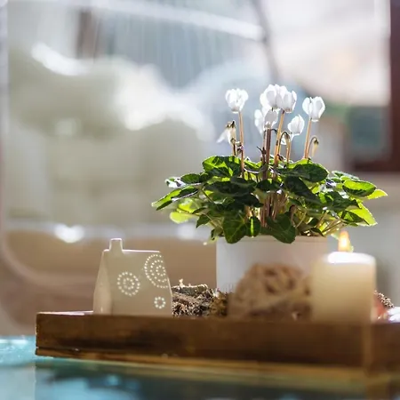 Gartenfewo Bad Wünnenberg