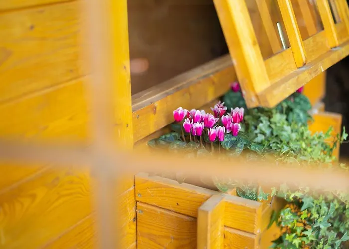 아파트 Gartenfewo Bad Wünnenberg