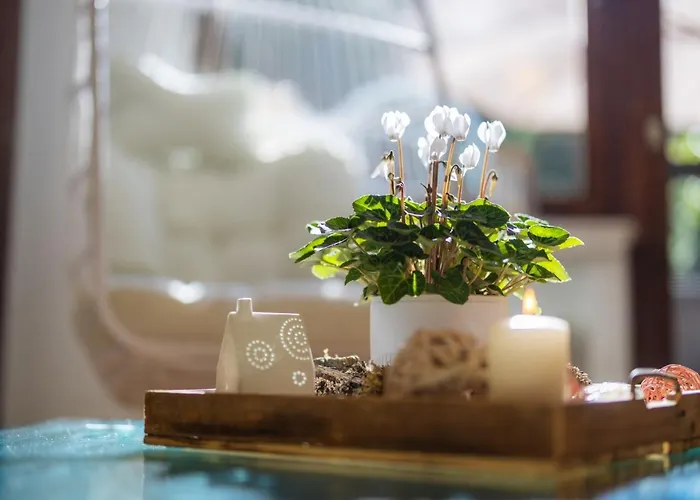 Gartenfewo Bad Wünnenberg